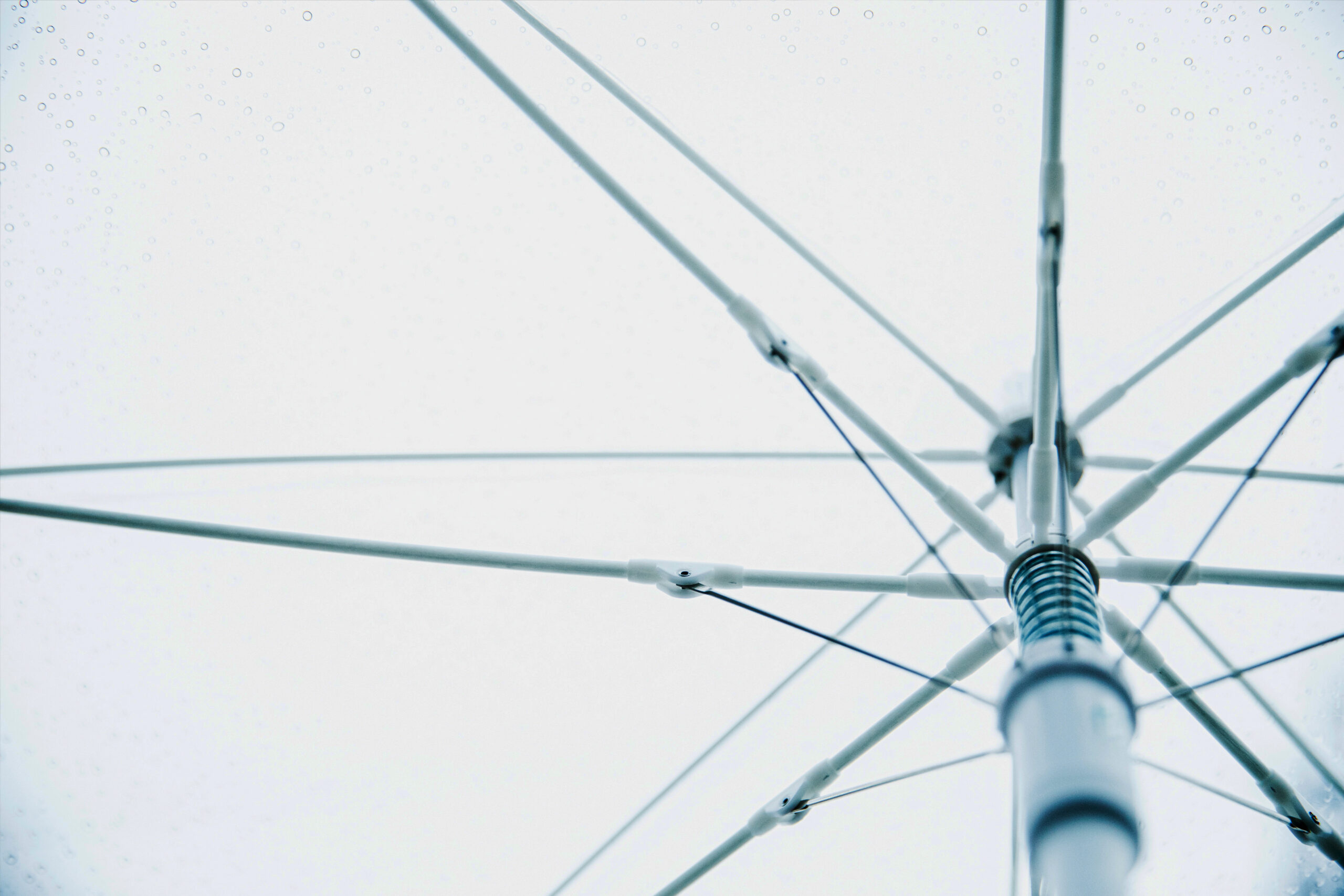 As if the scent of their own words was enough.