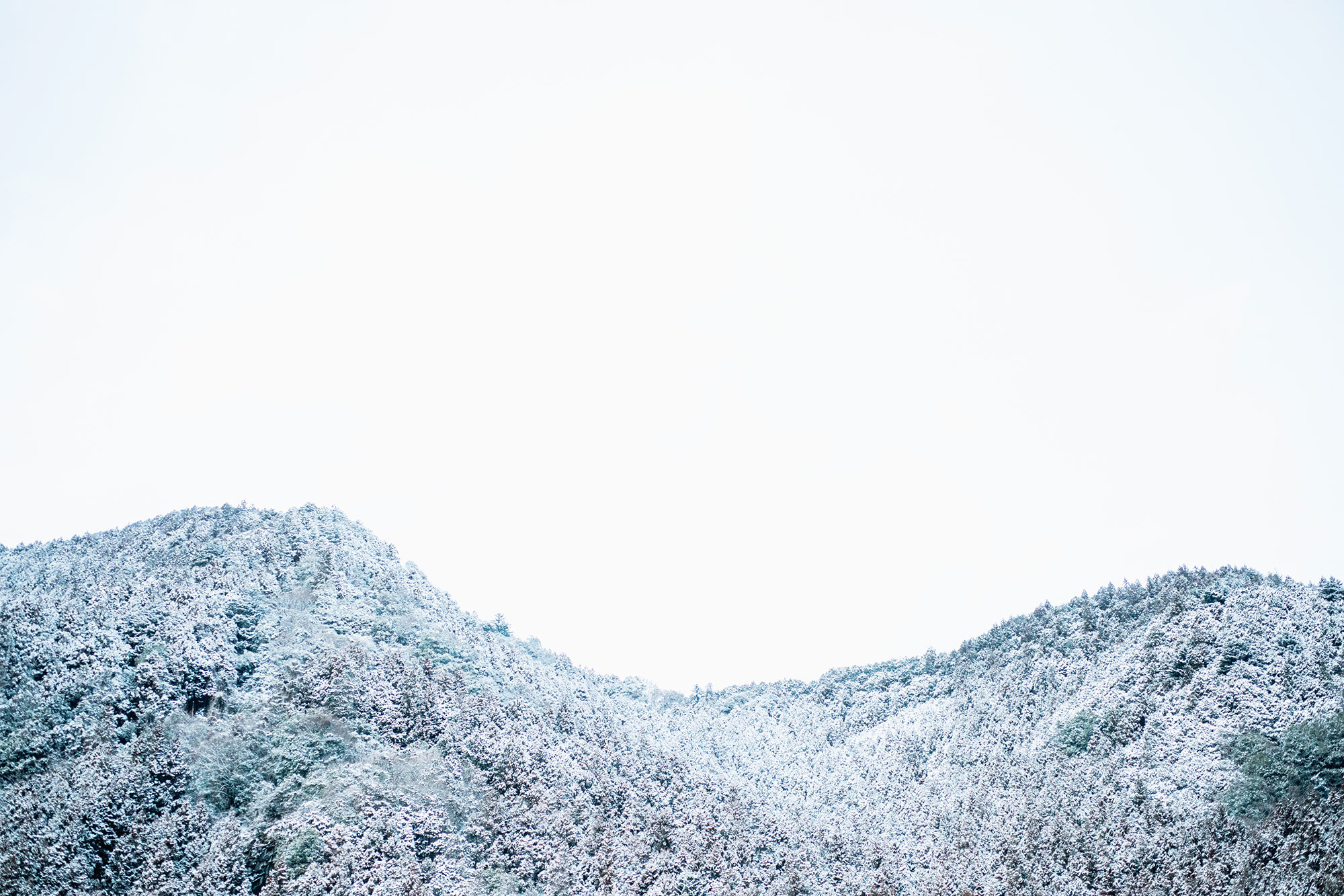 Letting go can be an act of wisdom.